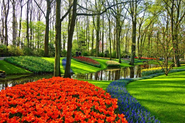 Luxury Business Transfers Keukenhof