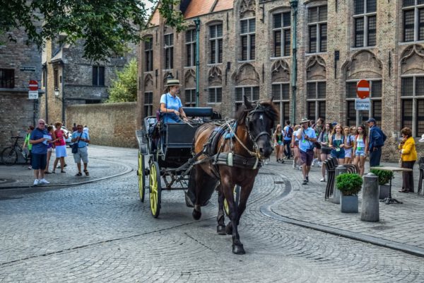 Luxury Business Transfers Bruges